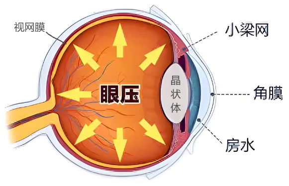 我们经常说的眼压到底是什么？眼压失衡会怎么样？