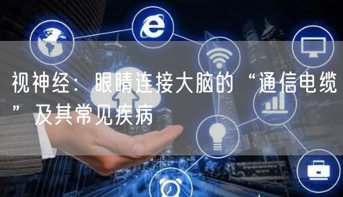 视神经：眼睛连接大脑的“通信电缆”及其常见疾病